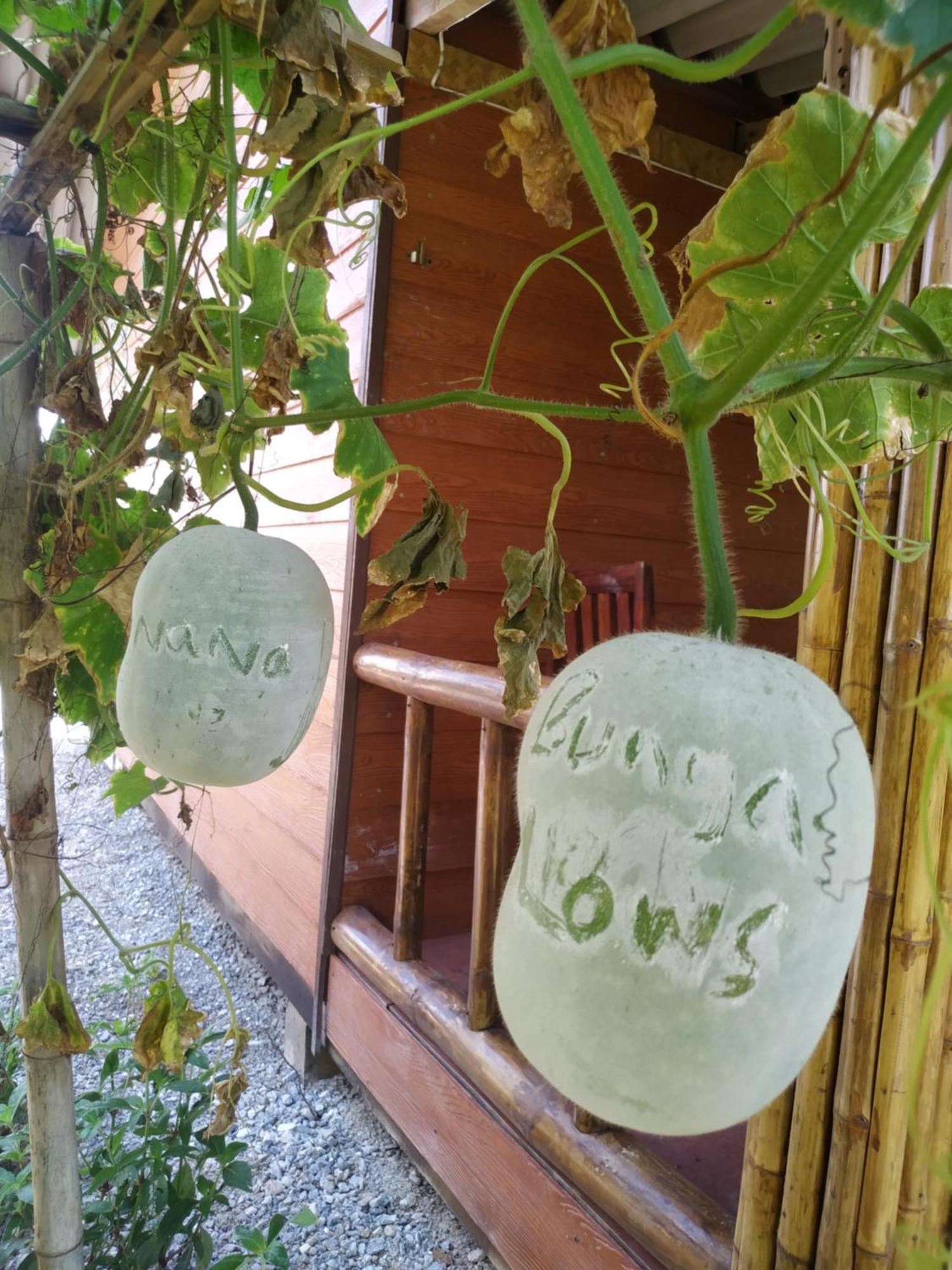Nana Bungalows Ban Tan Номер фото